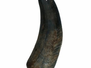 Viking half Horn - S