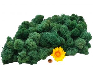 Muwse Islandmoos Kieferngrün 100 g Maßstab Spur G Modellbau