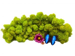 Muwse Islandmoos Frühlingsgrün 100 g Maßstab Spur G Modellbau