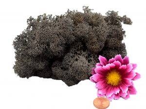 Muwse Islandmoos Dunkelgrau 10 g Maßstab Spur G Modellbau