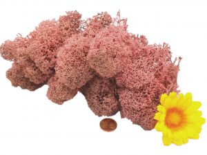 Muwse Islandmoos Rosa 25 g Maßstab Spur G Modellbau