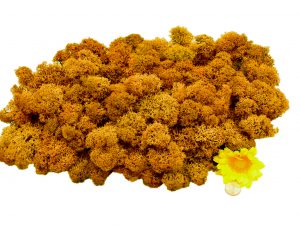 Muwse Islandmoos Melonengelb 100 g Maßstab Spur 0 Modellbau