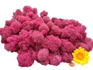 Muwse Islandmoos Veilchen Pink 100 g Maßstab Spur 0 Modellbau