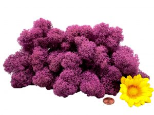 Muwse Islandmoos Viola 50 g Maßstab Spur 0 Modellbau