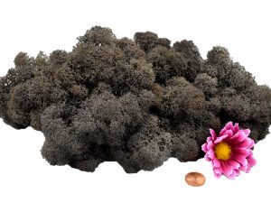 Muwse Islandmoos Dunkelgrau 50 g Maßstab Spur 0 Modellbau