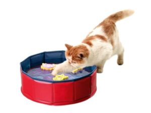 Karlie Kitty Pool