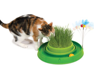 CATIT Play-n-Scratch mit Grasgarten - Grün