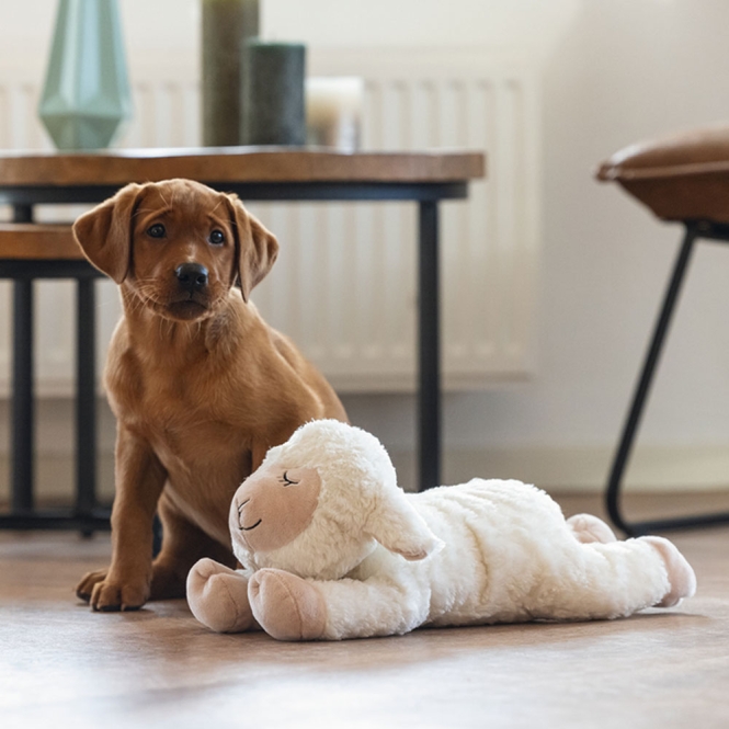 Beeztees Puppy Kuschelspielzeug Bowi – Bild 6