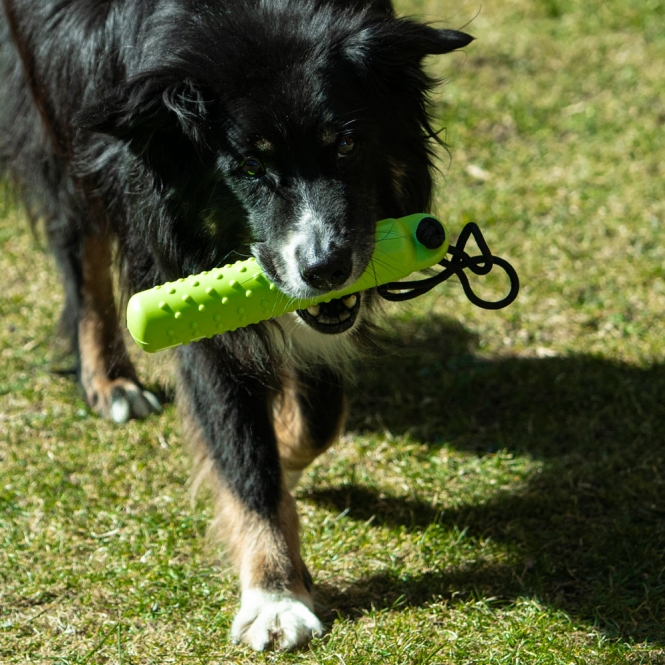 PROCYON Magic Treat Dummy – Bild 5