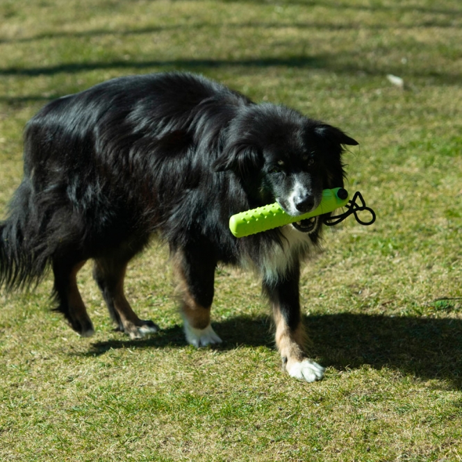 PROCYON Magic Treat Dummy – Bild 6