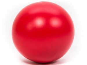 PROCYON Treibball - Rot