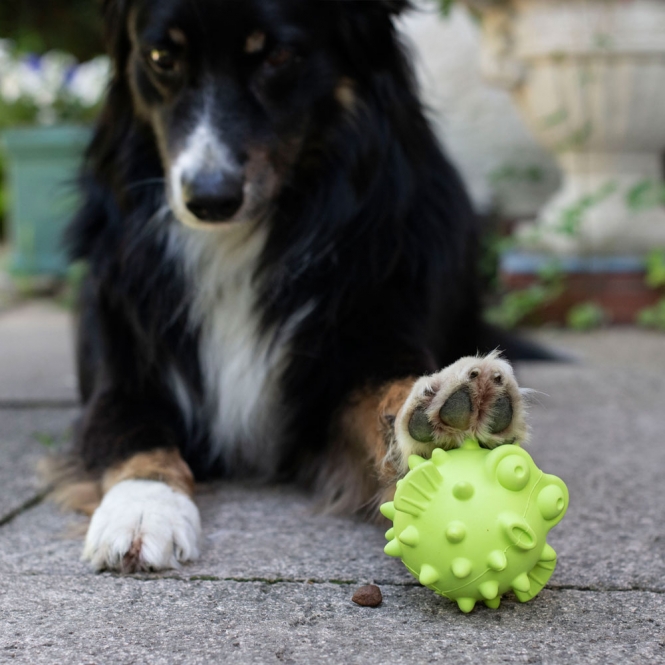 PROCYON TPR Snackball Fisch – Bild 4