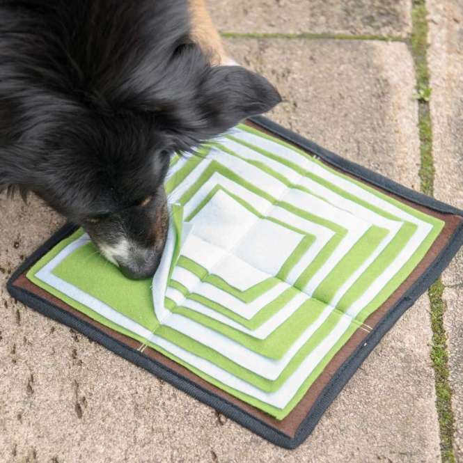 PROCYON Schnüffelpyramide – Bild 3